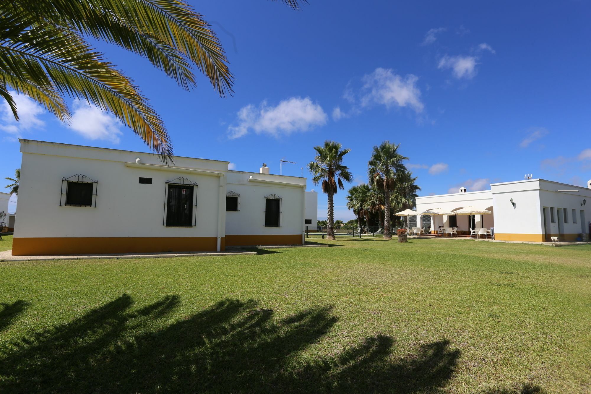 El Celemin De Conil Bed & Breakfast Conil De La Frontera Eksteriør bilde